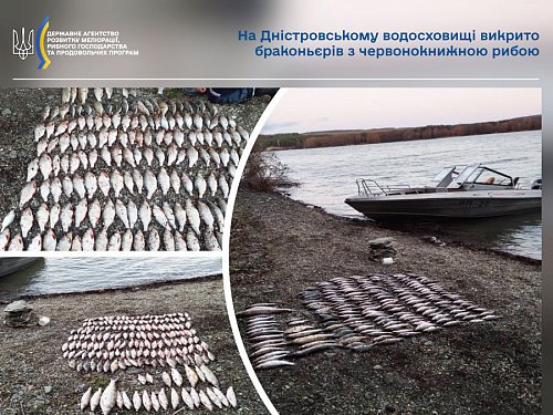 На Дністровському водосховищі викрито браконьєрів з червонокнижною рибою Фото №1