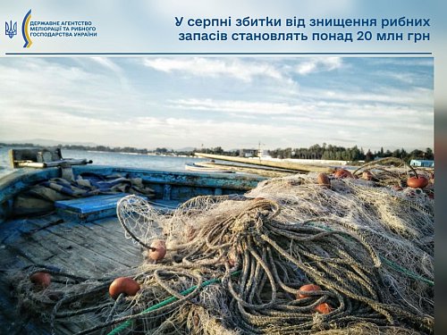 У серпні збитки від знищення рибних запасів становлять понад 20 млн грн Фото №3