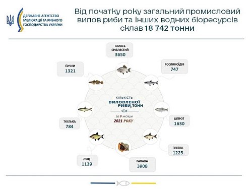 Промисловий вилов риби у водосховищах Дніпра збільшився на 13% Фото №4